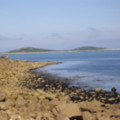 Trip to the Scillies - added 31/07/2011 by Bet
