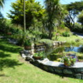The Linked Ponds - added 31/07/2011 by Nicola