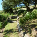 Another Path to the Beach Gate - added 31/07/2011 by Nicola