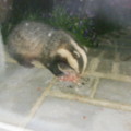Nighty Visit - added 30/07/2011 by Pete and Bet