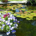 The Linked Ponds - added 31/07/2011 by Nicola