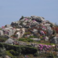 Trip to the Scillies - added 31/07/2011 by Bet