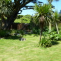 Lawns Between The Chocolate Box and The Ponds - added 31/07/2011 by Nicola