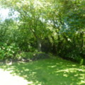 To The Orchard - added 31/07/2011 by Nicola