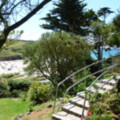 Path to the Beach - added 31/07/2011 by Nicola