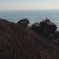 12 Lizard to Church Cove costal walk - added 13/03/2014 by Adam & Mo
