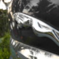 Jaguar - added 03/08/2011 by Oliver