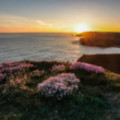 Church Cove - added 18/07/2016 by John Wright