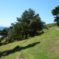 Path to the Beach Gate - added 31/07/2011 by Nicola