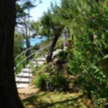 Path to the Beach - added 31/07/2011 by Nicola