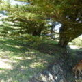 Path to the Beach - added 31/07/2011 by Nicola