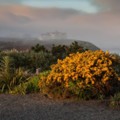 Foggy Sunrise - added 04/07/2015 by John Wright