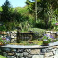 The Linked Ponds - added 31/07/2011 by Nicola