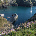 Mullion Cove - added 18/07/2016 by John Wright