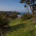 The Cove from Trewoon - added 04/07/2015 by John Wright
