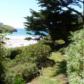 Path to the Beach - added 31/07/2011 by Nicola