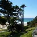 Path to the Beach - added 31/07/2011 by Nicola