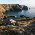Mullion Cove - added 18/07/2016 by John Wright
