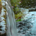 The pond - added 03/08/2011 by Oliver